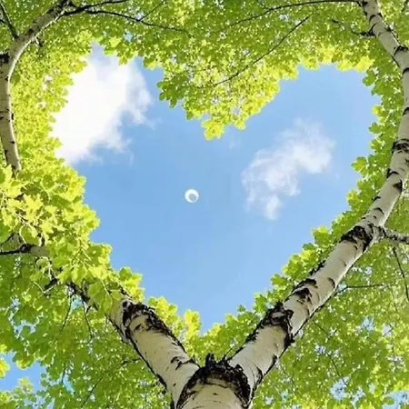 Mazurskie Wzgórze 2 Rydzewo (Gizycko)